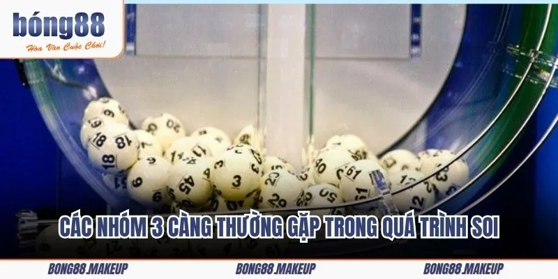 Các nhóm 3 càng thường gặp trong quá trình soi