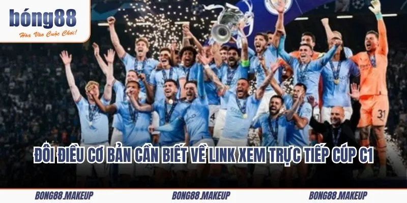 Đôi điều cơ bản cần biết về link xem trực tiếp Cúp C1