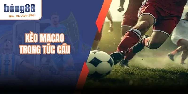 Kèo Macao Trong Túc Cầu – Hướng Dẫn Chi Tiết Chuẩn 2025
