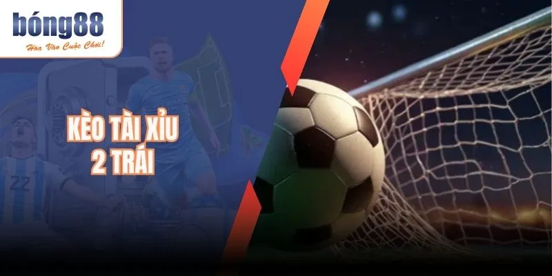 Kèo Tài Xỉu 2 Trái – Hướng Dẫn Chi Tiết Cho Tân Binh Mới