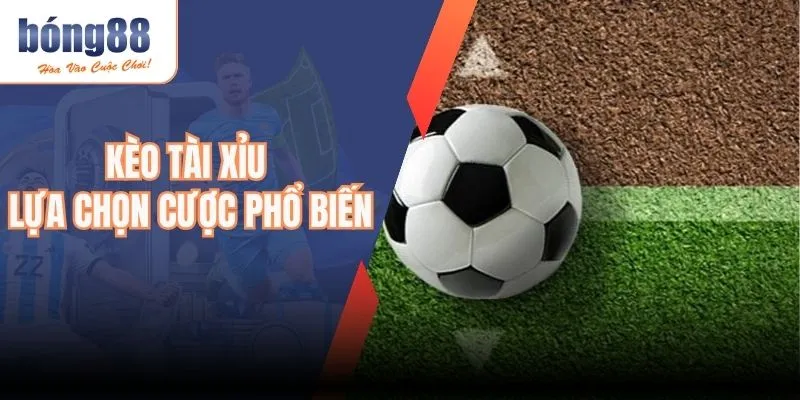 Kèo Tài Xỉu – Lựa Chọn Cá Cược Bóng Đá Phổ Biến Năm 2025